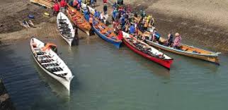 Image result for Appledore Pilot Gig Club