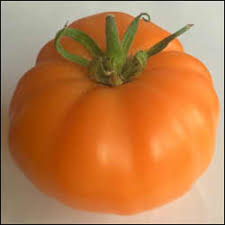 Afbeeldingsresultaat voor amana orange beefsteak tomato