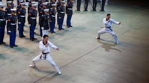 Image result for Norfolk Karate