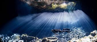 Image result for Notanx Freedive Club