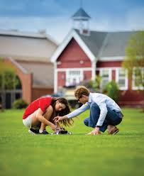 Image result for South Holderness Gc