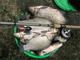 Image result for рыбалка