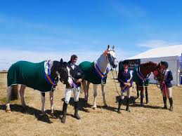 Image result for Abinger Forest Riding Club