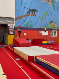 Image result for Arabian School Of Gymnastics