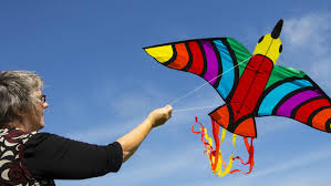 Image result for Brighton Kite Fliers