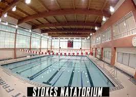 Image result for Stokesley Amateur Swimming club