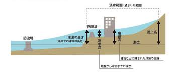 Image result for 高潮 津波 別物