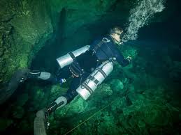 Image result for Aztec Divers