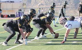 Image result for Clyde Valley Predators