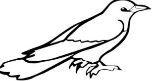 Image result for Calstock Smbc