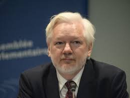 Image result for julian assange