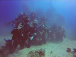 Image result for Worcester Divers Octopush Club