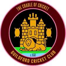 Image result for Glastonbury Cricket Club