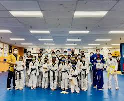 Image result for White Tiger Martial Arts