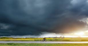 Image result for Hemel Hempstead Cc