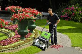 Image result for etesia tehron