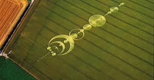 Image result for crop circles