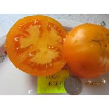 Afbeeldingsresultaat voor caro rich tomato