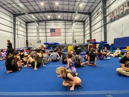 Image result for Elite Trampoline Club