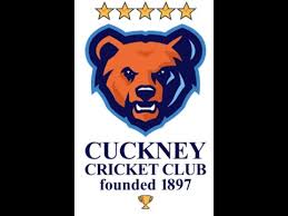 Image result for Bronwydd Cricket Club