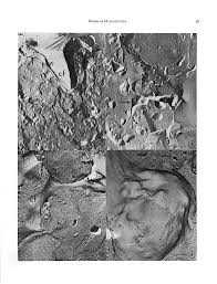 Attēlu rezultāti vaicājumam “Didymium nigripes spores”