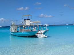 Image result for Harbour Lights Snorkelling Club (HLSC)