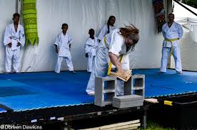 Image result for Ndm Martial Arts