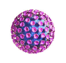 Image result for фотография вируса вич