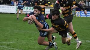 Image result for Pontardawe Rugby Football Club