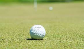 Image result for Potters Bar Golf Club Ltd