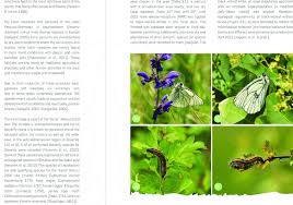 Attēlu rezultāti vaicājumam “Aporia crataegi larva”