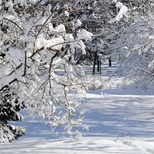 Image result for schnee