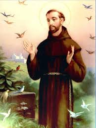 Image result for foto são francisco