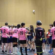 Image result for Durham University Floorball Club