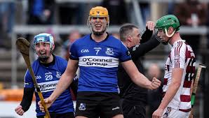 Image result for Sarsfields Hurling Club