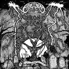 Attēlu rezultāti vaicājumam “Diderma montanum var. album stalked”