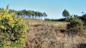 Image result for Camberley