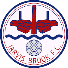 Image result for Oxted & District Junior Fc