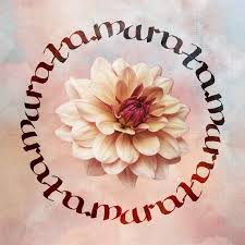 Image result for ambigram