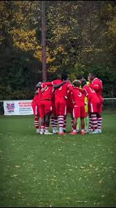 Image result for Cockfosters Football Club