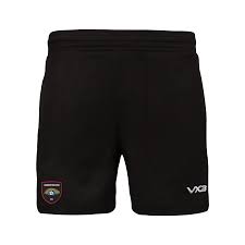 Image result for Harbertonford A F C