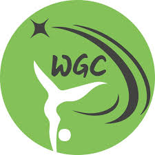 Image result for Wickers Gymnastics Club