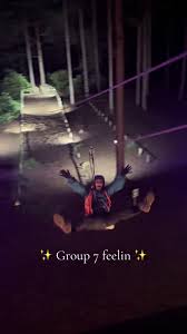 Image result for The Go Ape Experience (Swinley Forest)