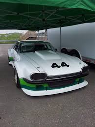 Image result for Racing Green 1981 Jaguar