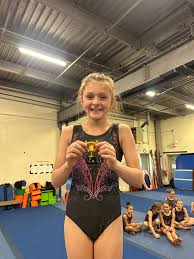 Image result for Asymmetrix Gymnastics Club