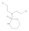 <b>Cyklofosfamid</b> – „mladší