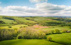 Image result for Mid-Devon Cc