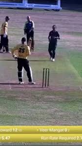 Image result for Peterborough Town Cricket Club