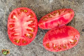 Afbeeldingsresultaat voor kosmonaut volkov 68D tomato