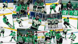 Image result for York University Street Hockey Club